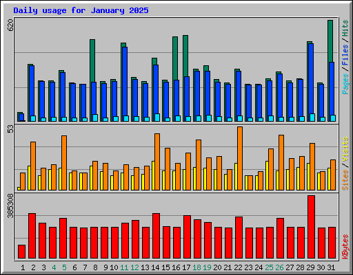 Daily usage for January 2025