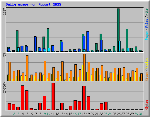 Daily usage for August 2025
