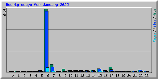 Hourly usage for January 2025