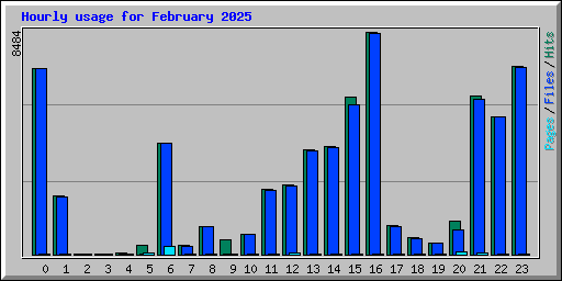 Hourly usage for February 2025