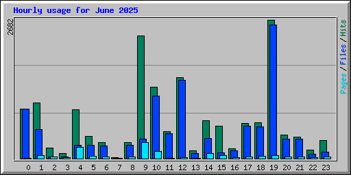 Hourly usage for June 2025