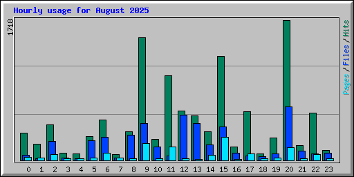 Hourly usage for August 2025